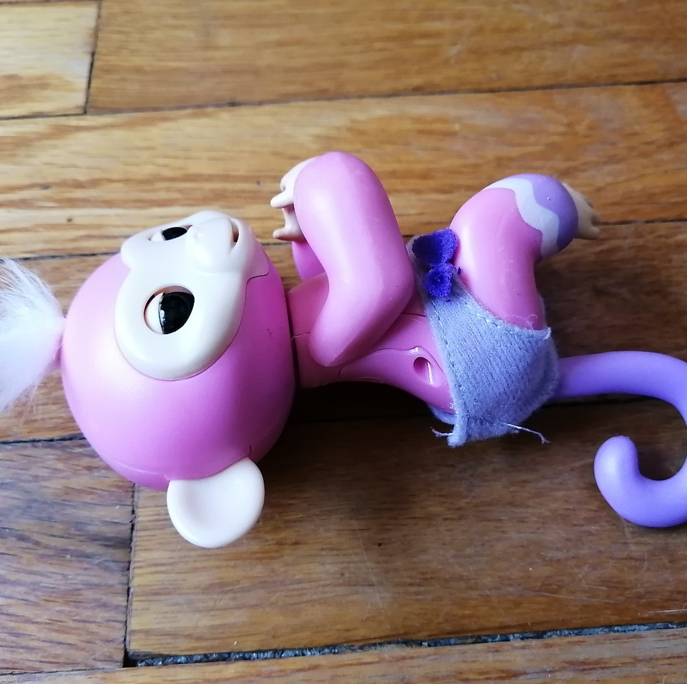 Finger ling monkey - Picture 2 of 3